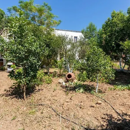 Garden Nature House In The 博德鲁姆