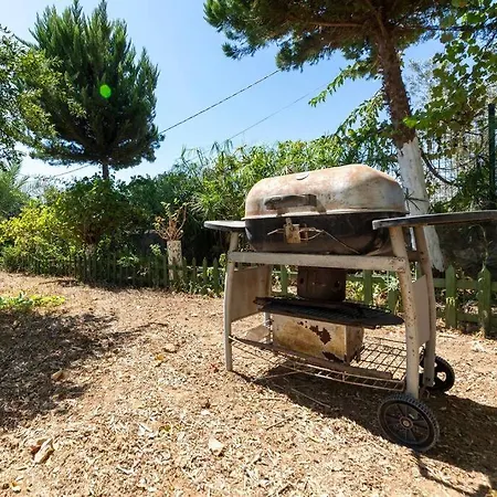Garden Nature House In The * 博德鲁姆